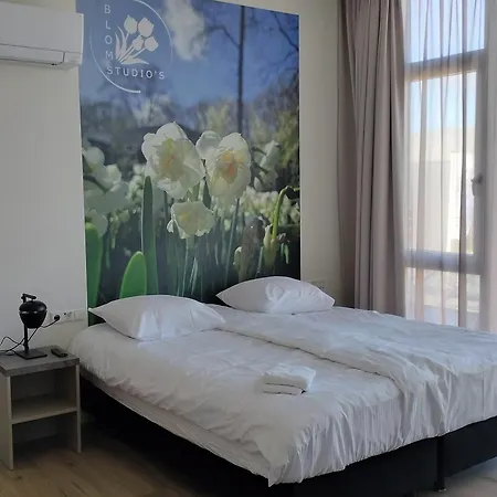 Blom Studio's 3*