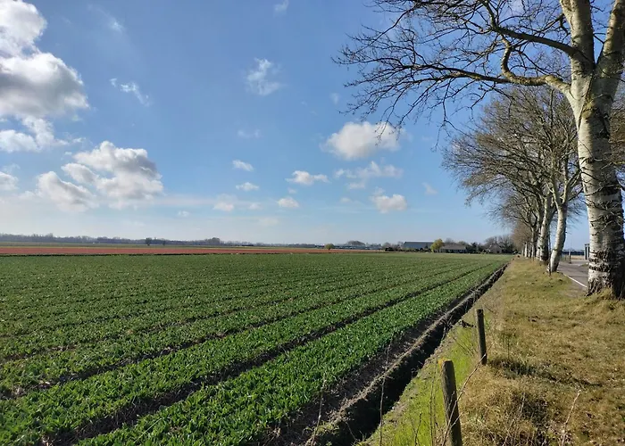 Апарт-отель Blom Studio's