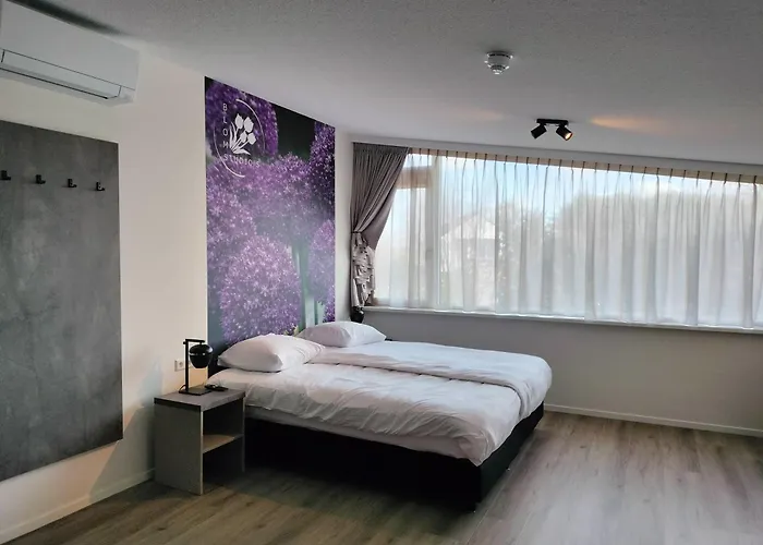 Апарт-отель Blom Studio's 3*