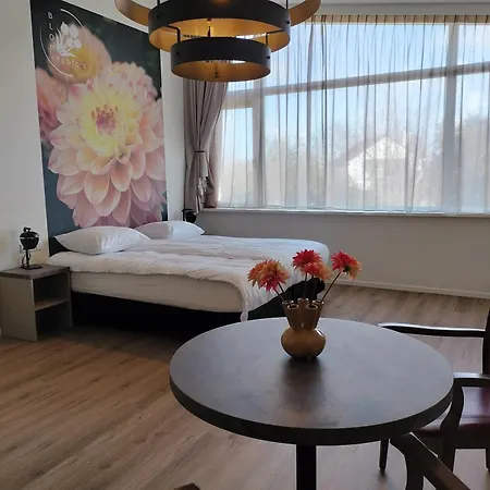 Blom Studio's 希勒霍姆