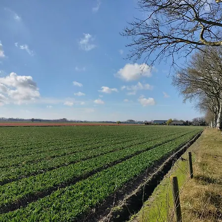 公寓式酒店 Blom Studio's