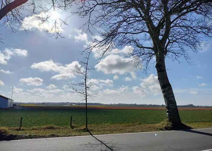 Ξενοδοχείο με διαμερίσματα Blom Studio's Hillegom